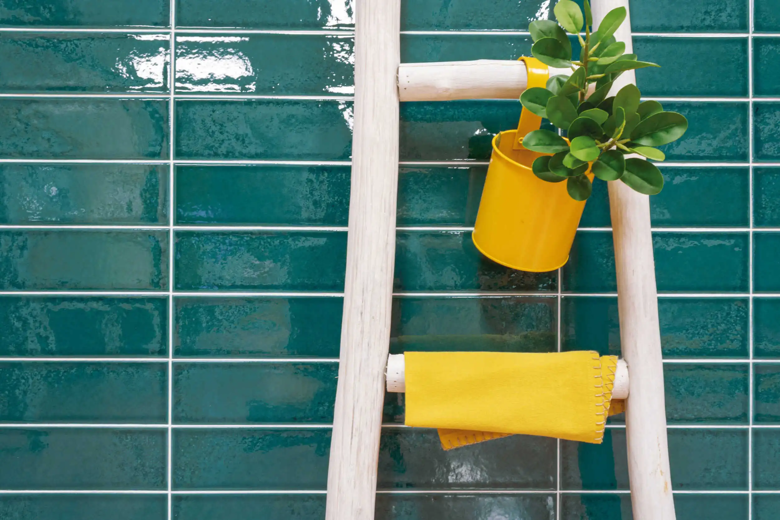 <h1 style=