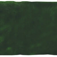 Verde vic