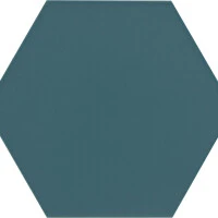 Indian Teal