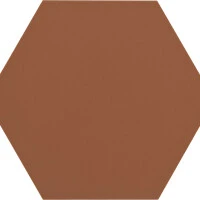 Raw Sienna