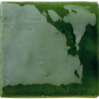 Verde vic