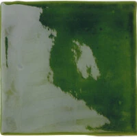 Verde vic