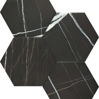 Sahara noir